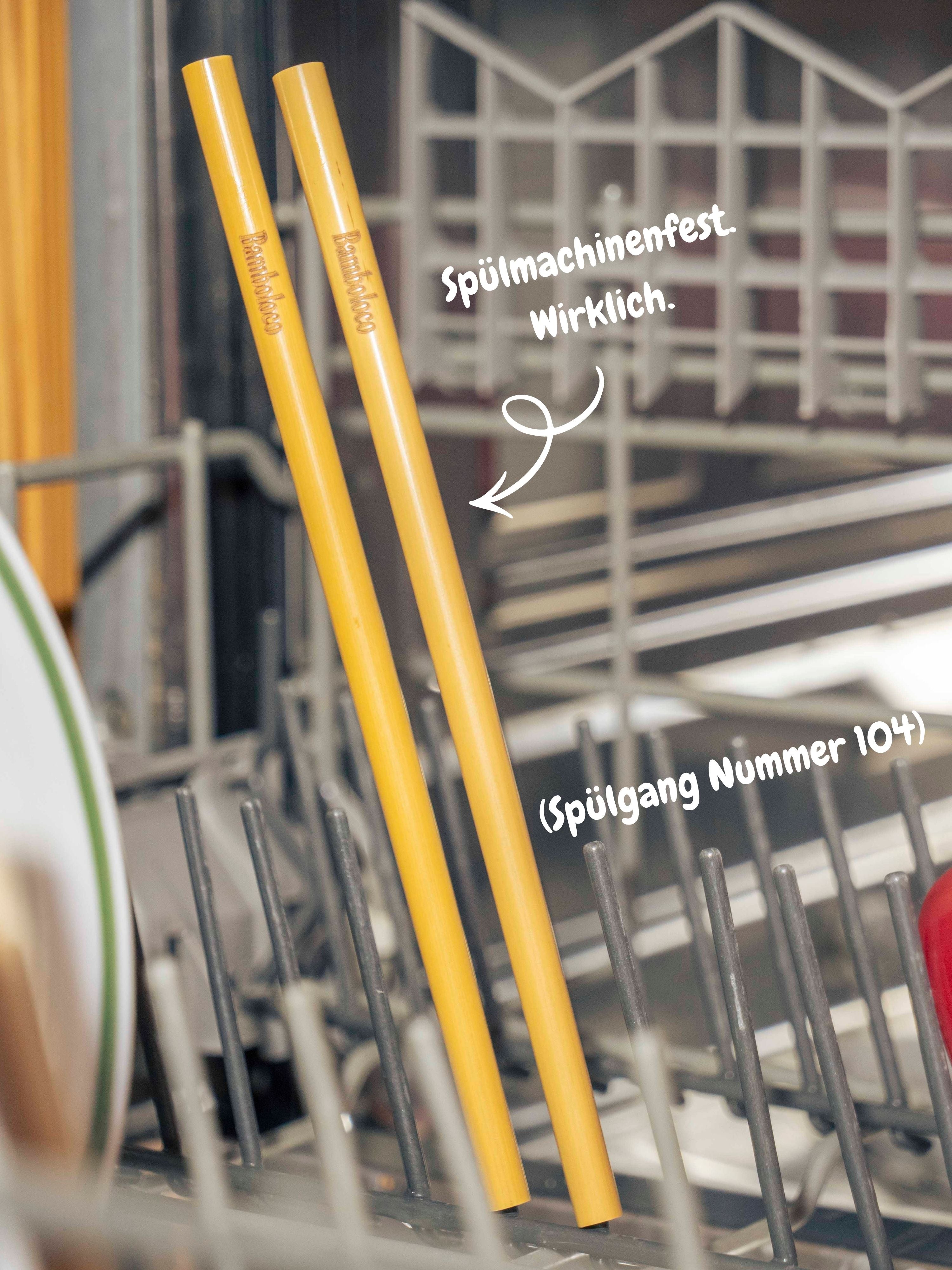 Premium Bambus (12 Stück) Strohhalme wiederverwendbar