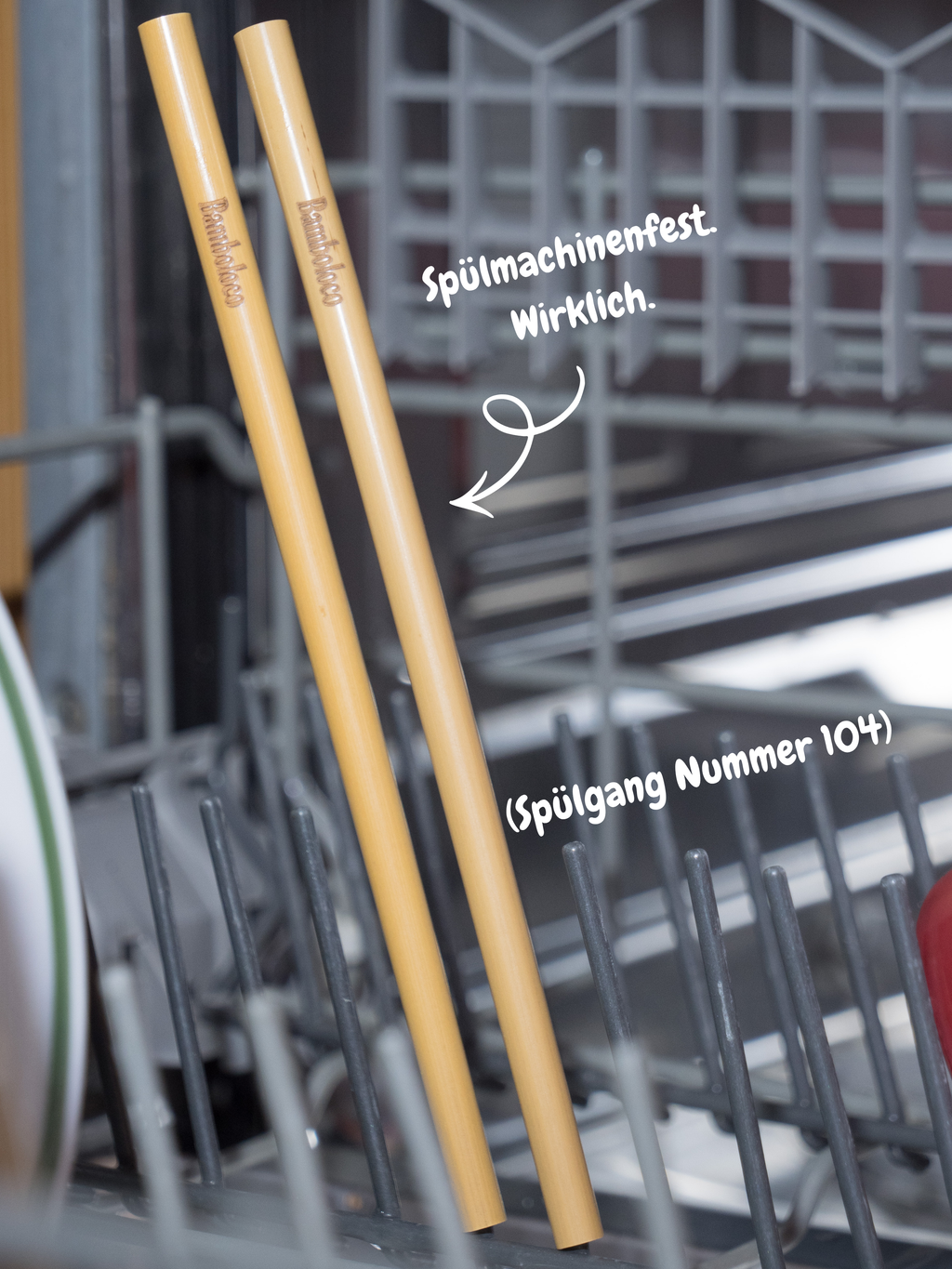 Bambustrinkhalme - Premium (12 Stück) wiederverwendbar