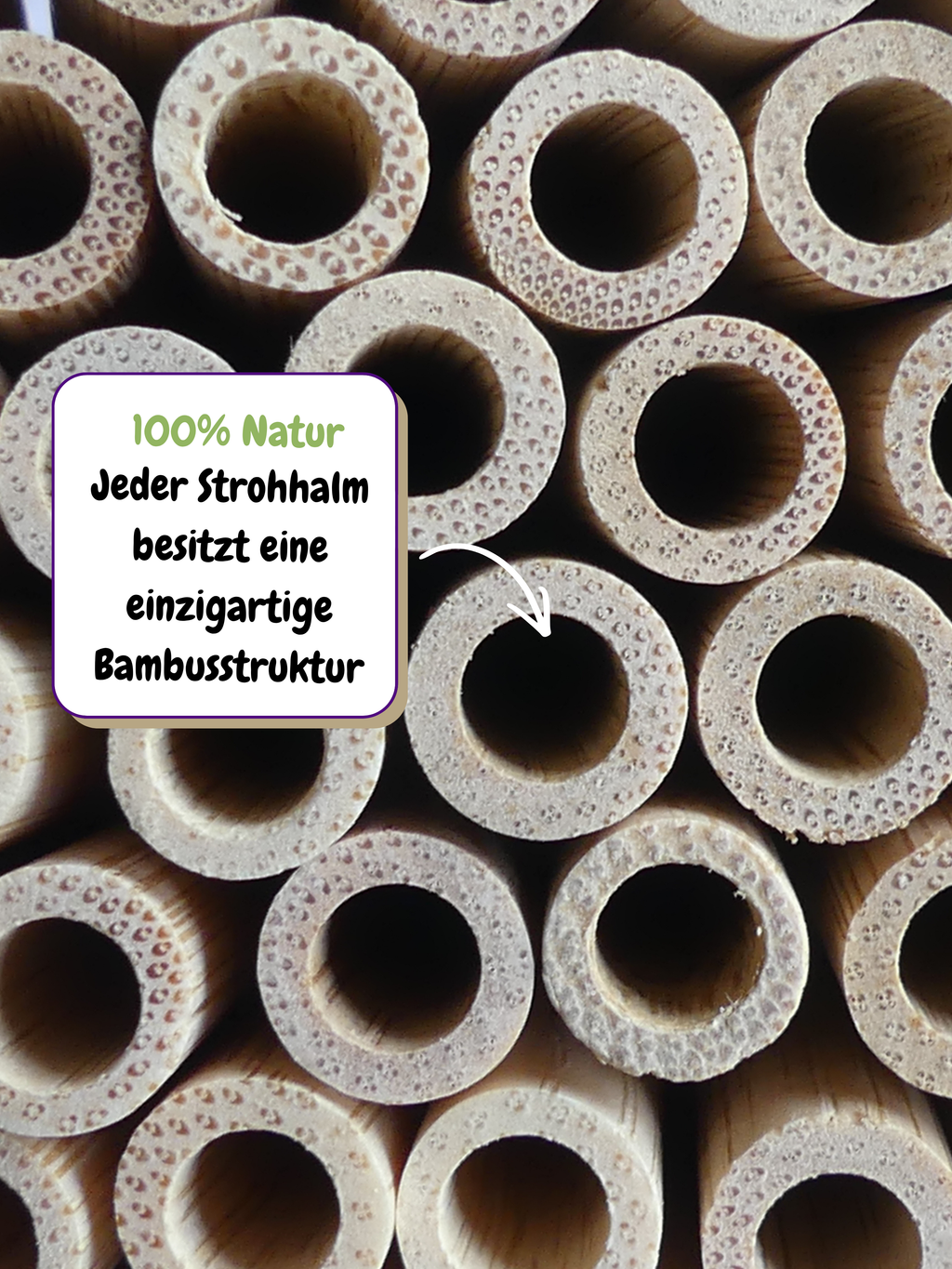 Bambustrinkhalme (14 Stück) wiederverwendbar